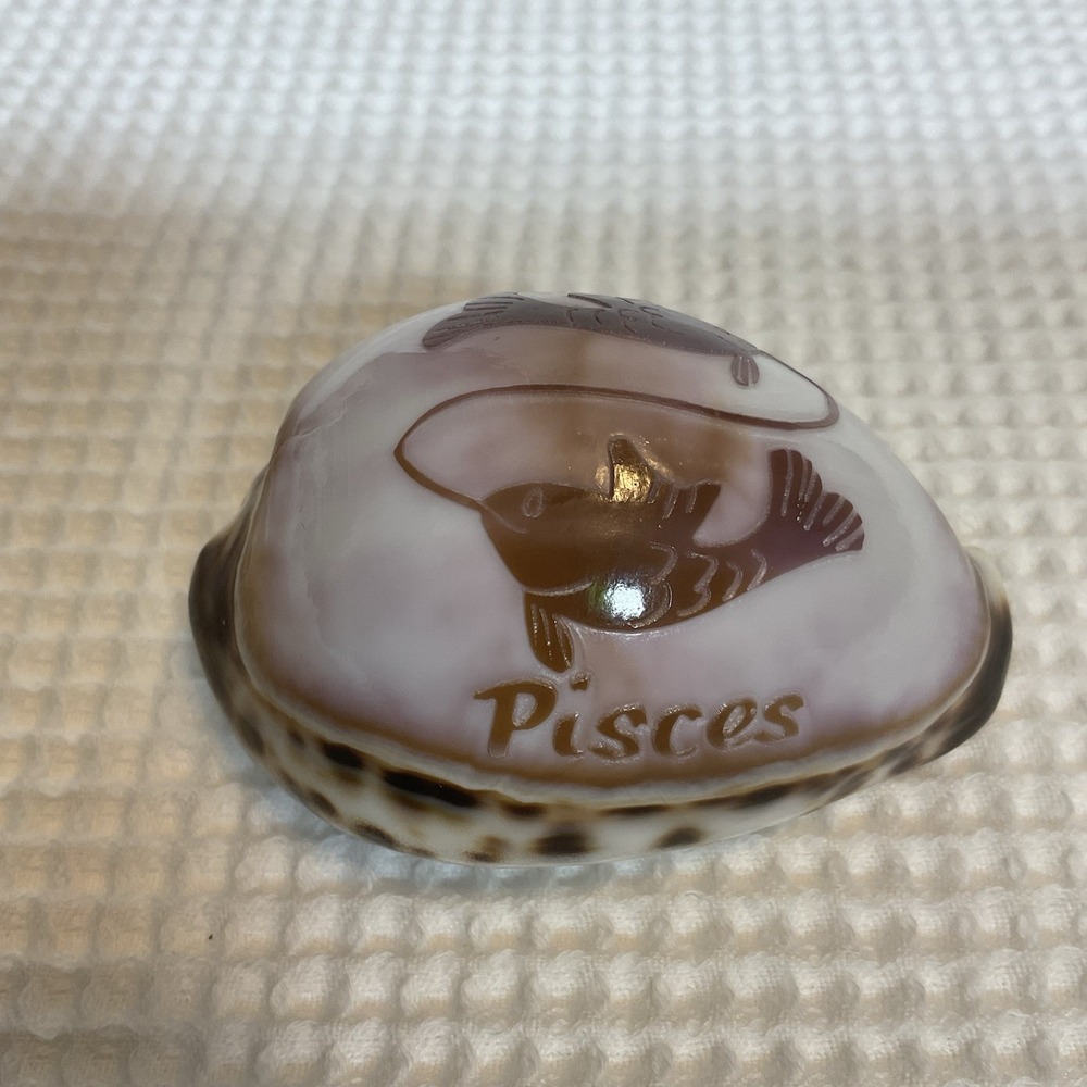 Vintage Pisces Cowrie Shell Carved Zodiac Sign Fish Sea Shell Figurine Decor